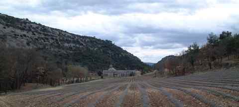 Senanque